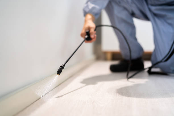 Certified termite inspector examining foundation in Fairfield Bay