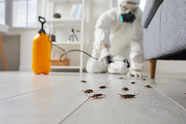 Post-Treatment Bed Bug Interceptor Monitoring in Fairfield Bay