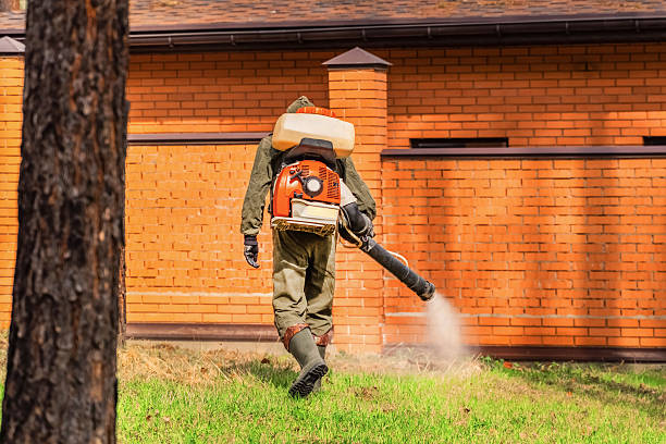 Bed Bug Clearance Verification and Documentation in Fairfield Bay